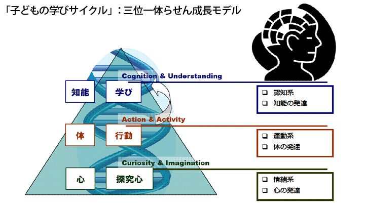 子どもの学びサイクル