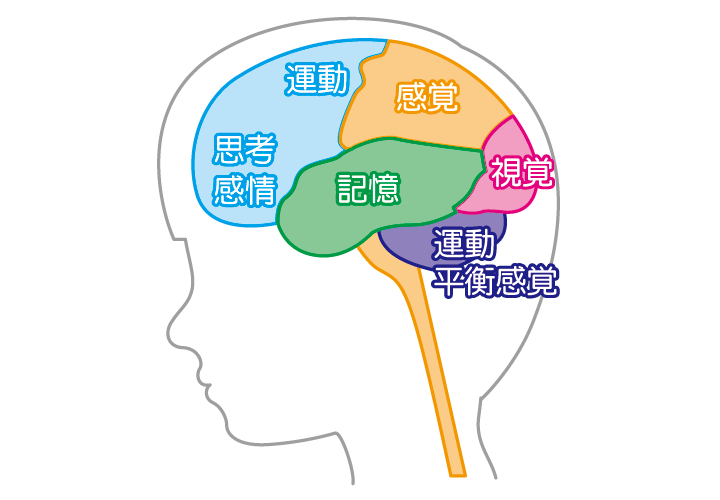 プレスクール・あそび発達インストラクター