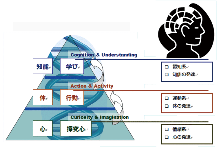 3～6歳の子どもにとって、『本当に必要な幼児教育』とは？